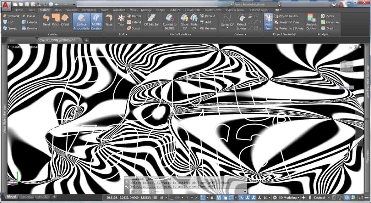 Zebra.jpg